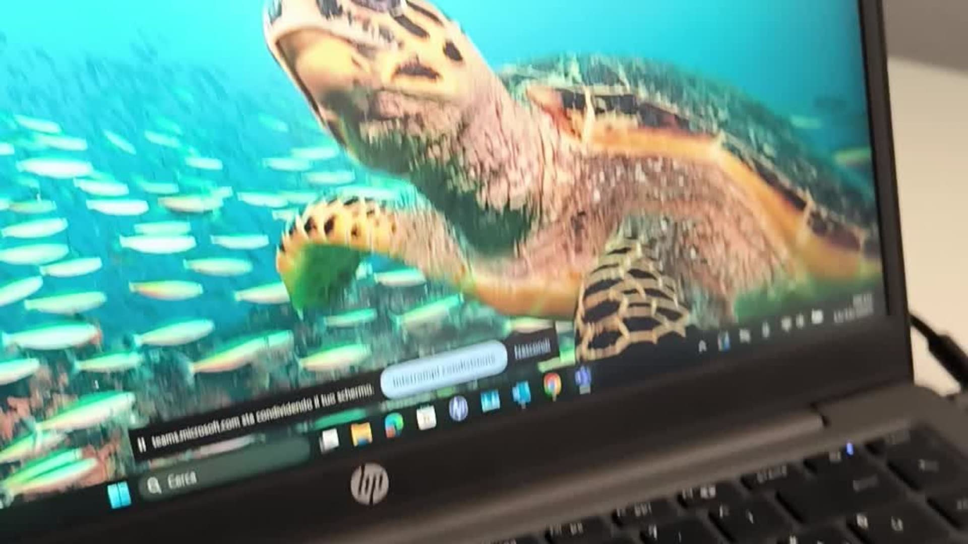articolo video 69