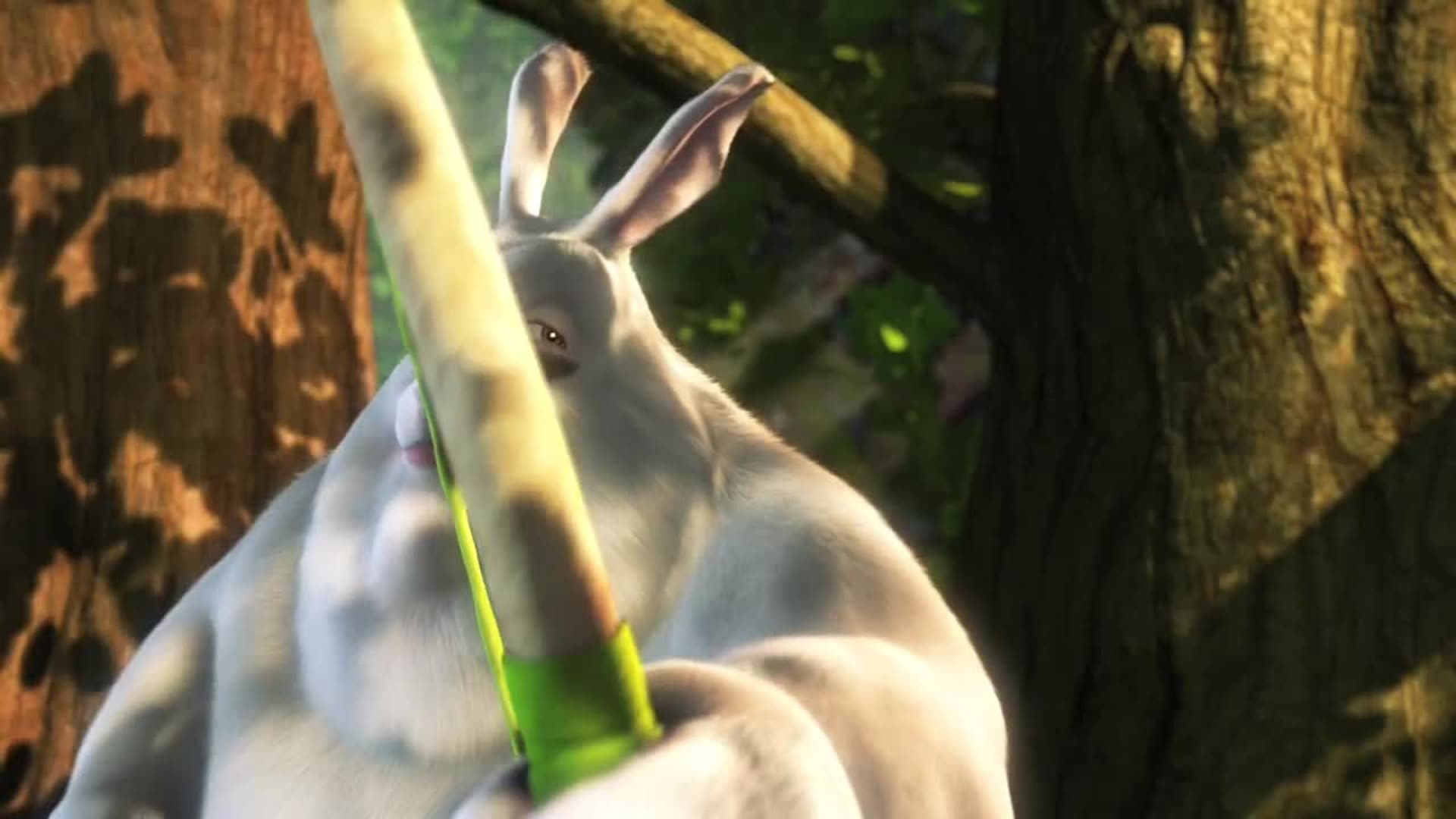 articolo video 65